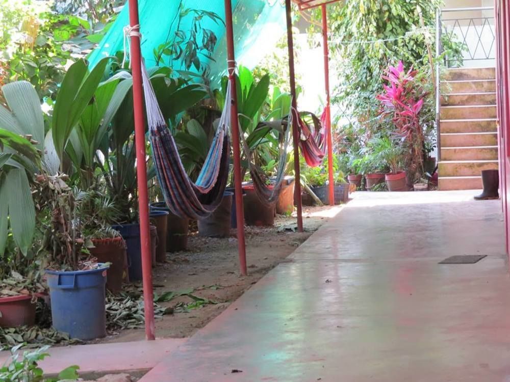 Tambopata Hostel Bambu Puerto Maldonado Eksteriør bilde