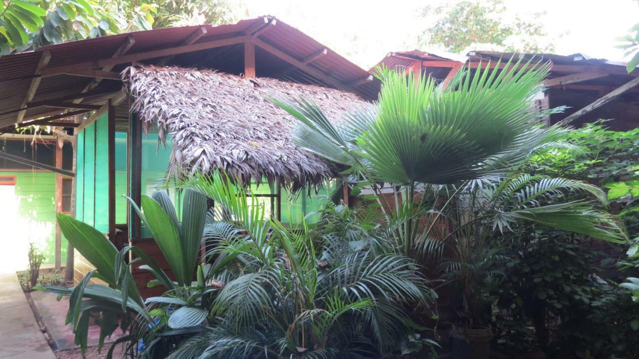 Tambopata Hostel Bambu Puerto Maldonado Eksteriør bilde