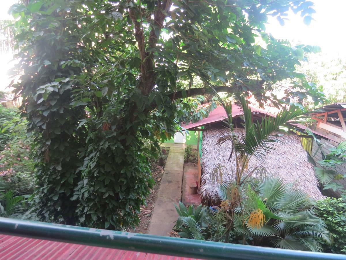 Tambopata Hostel Bambu Puerto Maldonado Eksteriør bilde
