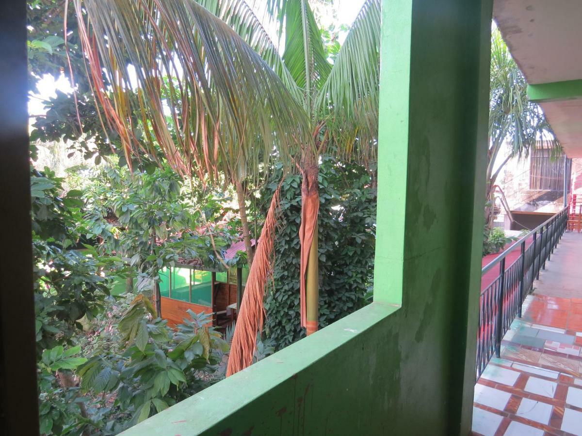 Tambopata Hostel Bambu Puerto Maldonado Eksteriør bilde
